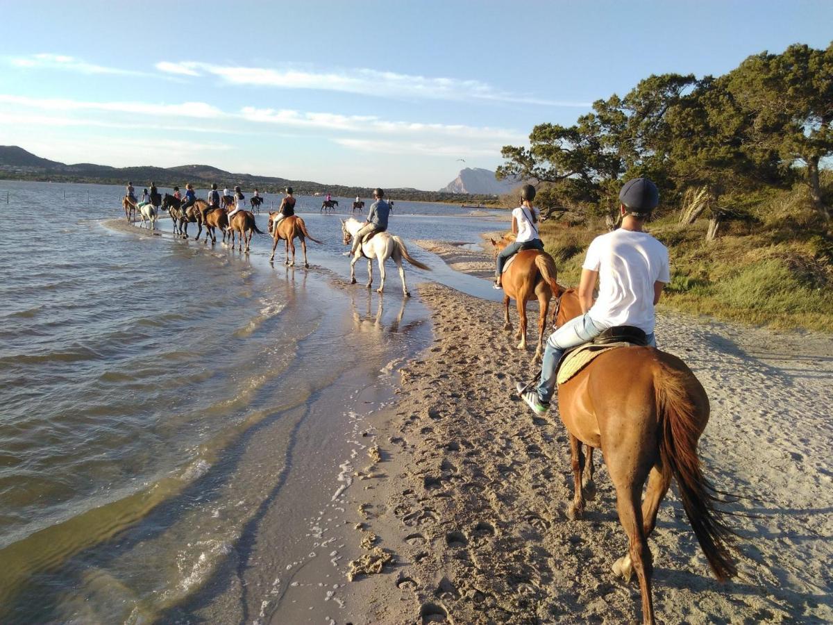Appartamento Sette Posti Vicino Al Centro Di San Teodoro San Teodoro  Exterior foto